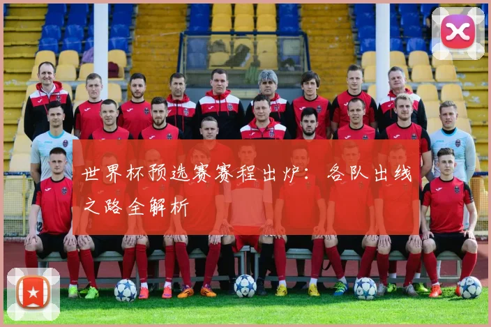 世界杯预选赛赛程出炉:各队出线之路全解析