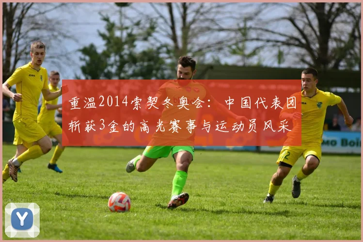 重温2014索契冬奥会：中国代表团斩获3金的高光赛事与运动员风采