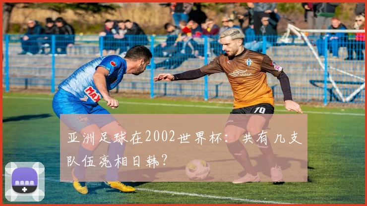 亚洲足球在2002世界杯：共有几支队伍亮相日韩？