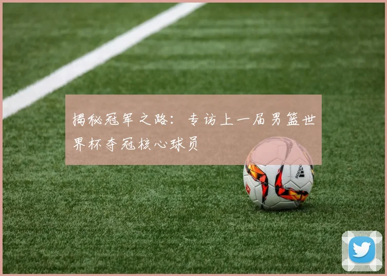 揭秘冠军之路：专访上一届男篮世界杯夺冠核心球员