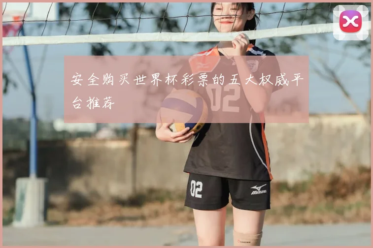 安全购买世界杯彩票的五大权威平台推荐
