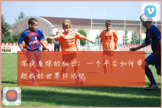 深夜看球的秘密：一个平台如何串起我的世界杯记忆