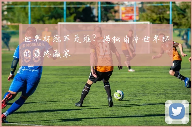 世界杯冠军是谁？揭秘南非世界杯的最终赢家