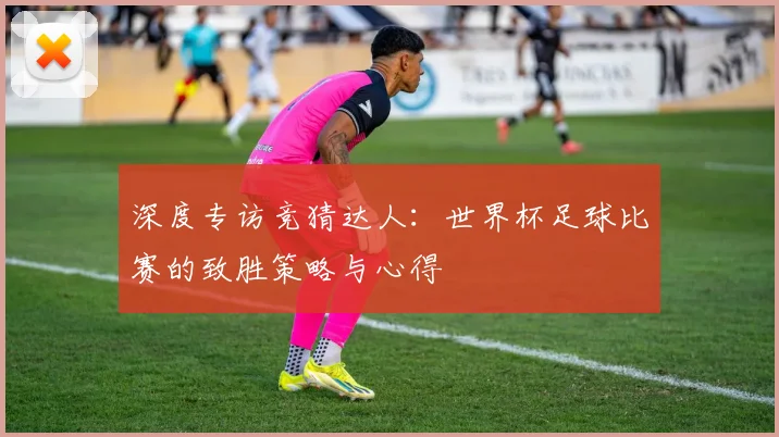 深度专访竞猜达人：世界杯足球比赛的致胜策略与心得