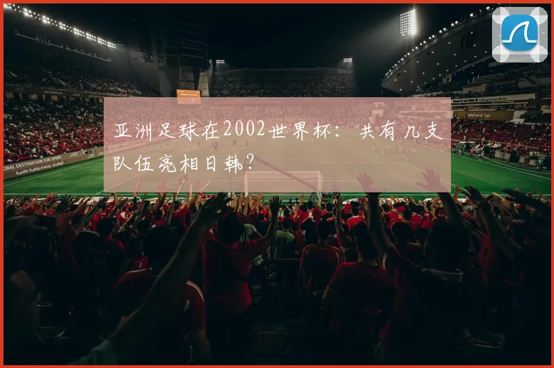 亚洲足球在2002世界杯：共有几支队伍亮相日韩？