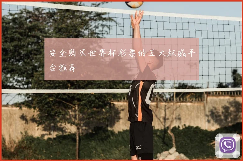 安全购买世界杯彩票的五大权威平台推荐