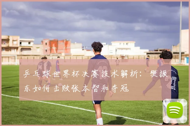 乒乓球世界杯决赛技术解析：樊振东如何击败张本智和夺冠