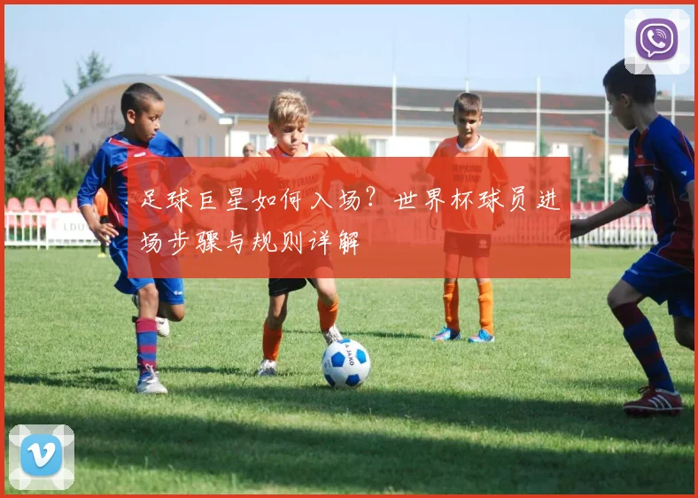 足球巨星如何入场？世界杯球员进场步骤与规则详解