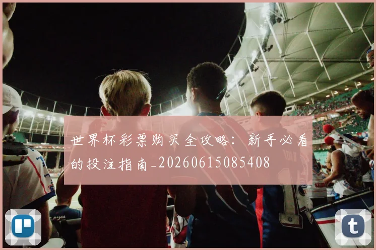 世界杯彩票购买全攻略：新手必看的投注指南_20260615085408